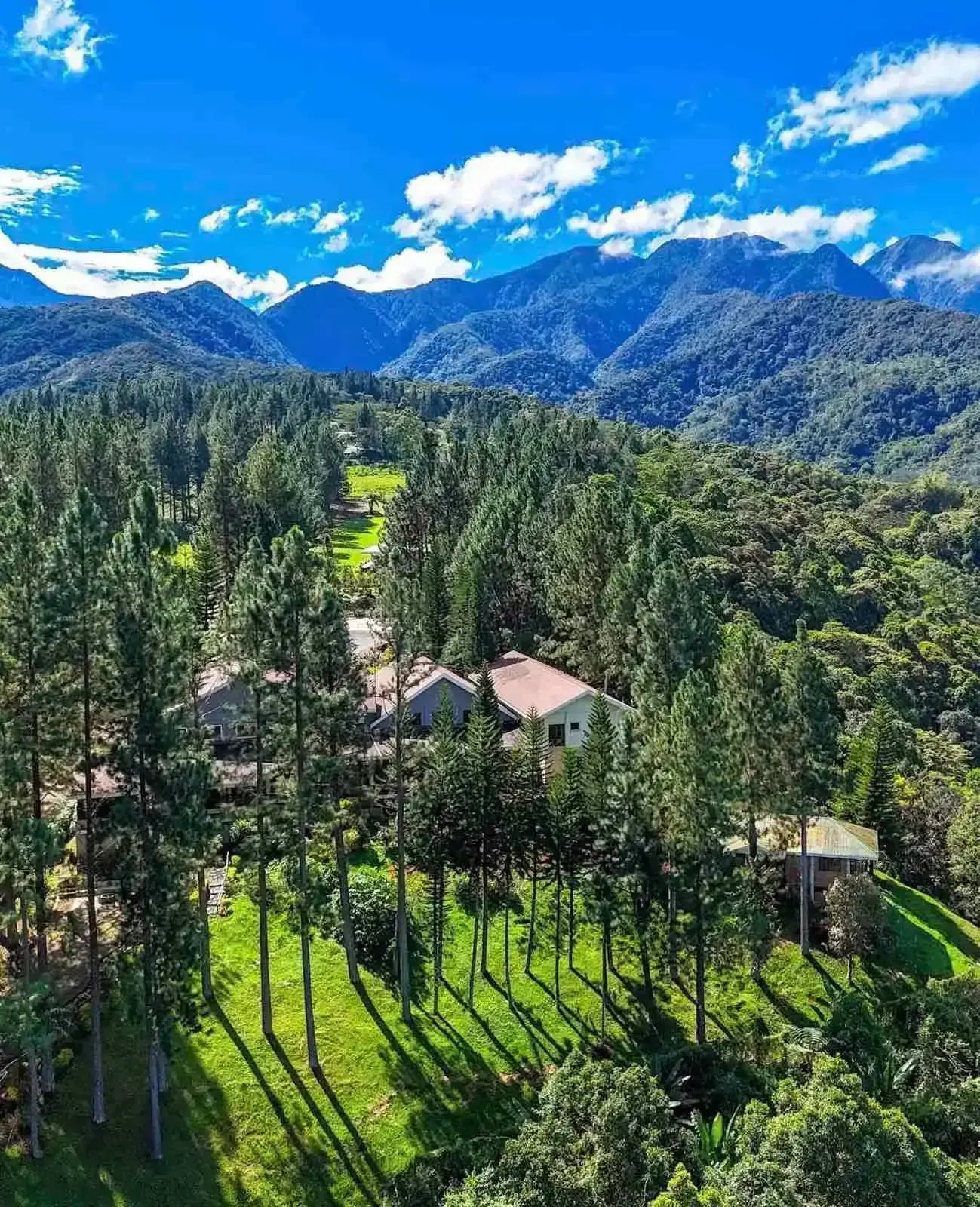 Expansive mountain views, pine trees and green lawns surrounding Mountain Pines Place