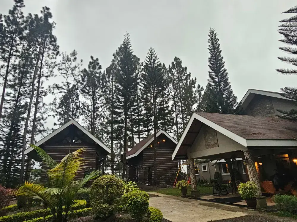 Pine-framed cabins and landscaped gardens at Mountain Pines Place
